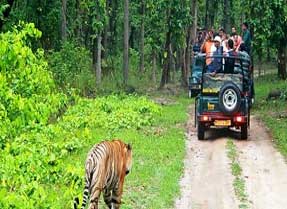 Kabini jungle lodge cottage