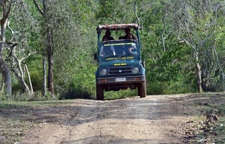 Evolve Back Kabini