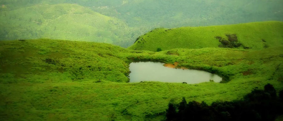 wayanad and nagarahole tour