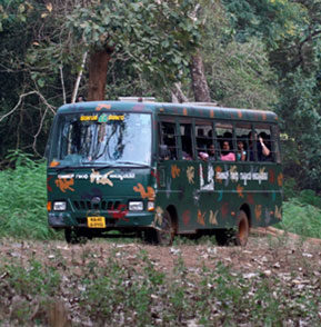 Canter Safari in Nagarahole