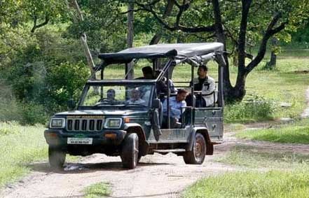 Jeep Safari