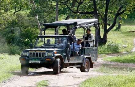 nagarahole jeep safari