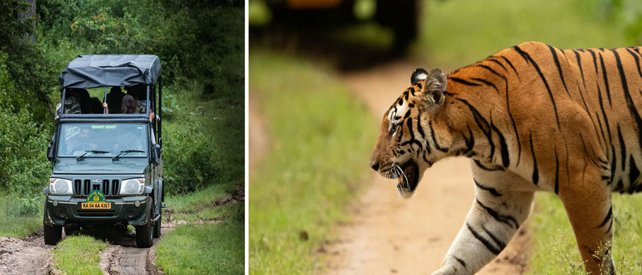 kabini wild tour