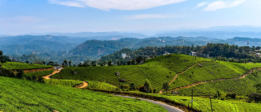 munnar nagarahole tour