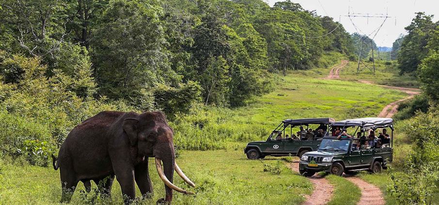 nagarahole tours