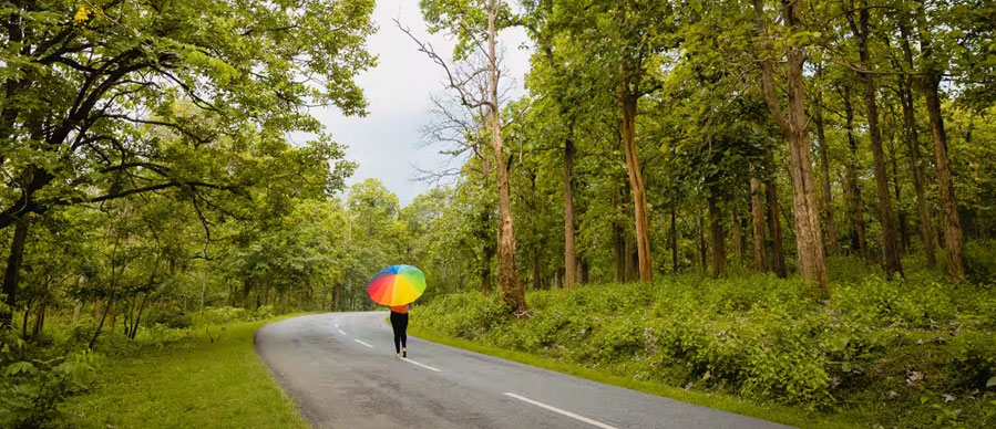 nagarahole masoon tour