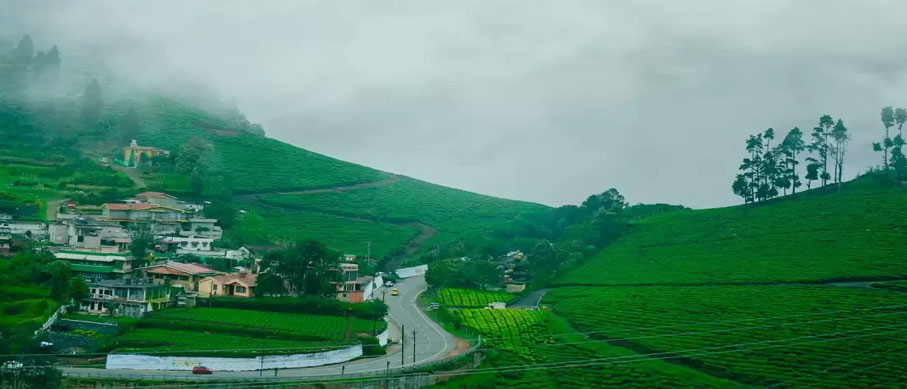 ooty and nagarahole tour