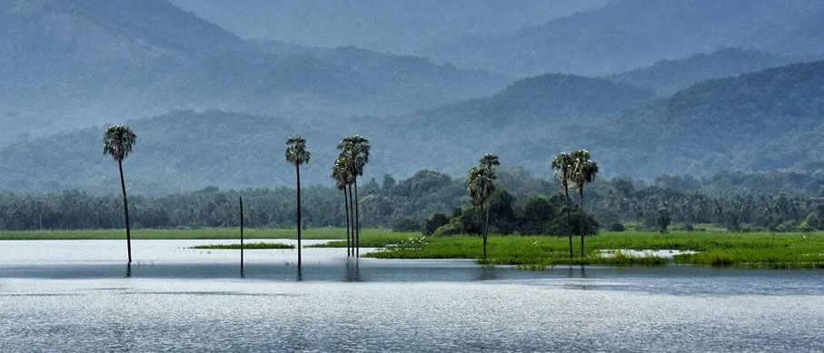 palakkad nagarahole tour