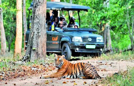 how to plan nagarahole tour