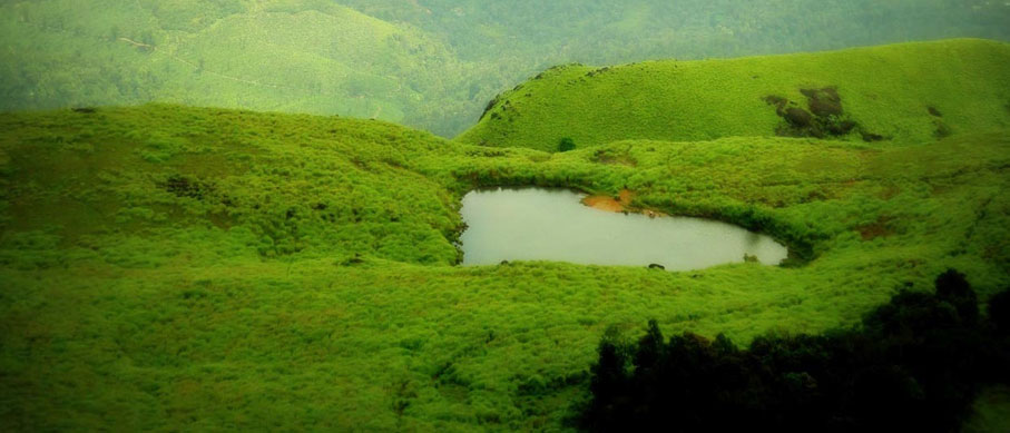 wayanad nagarahole tour